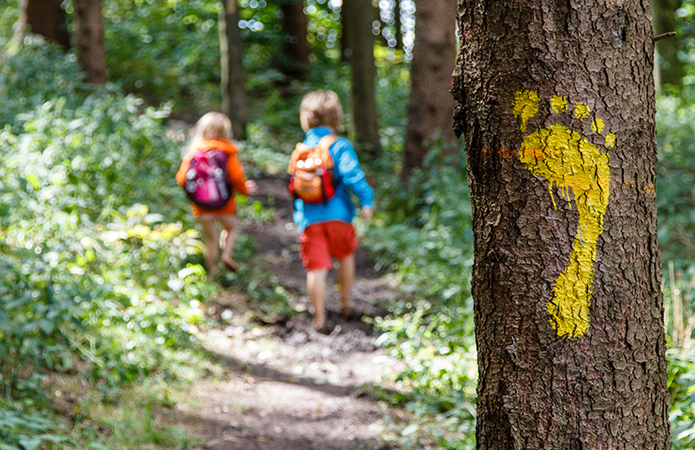 Immagine che rappresenta una impronta di piede su un albero e due bambini sullo sfondo che camminano nel bosco, simbolo che Lifeanalytics sostiene le aziende verso un percorso di Sostenibilità
