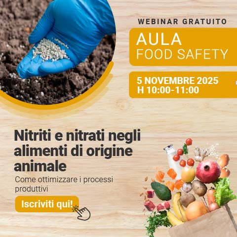 Immagine di una mano aperta con guanto blu con sopra compositi chimici in chicchi, simbolo del webinar Food di Lifeanalytics sui nitrati e nitriti negli alimenti di origine animale