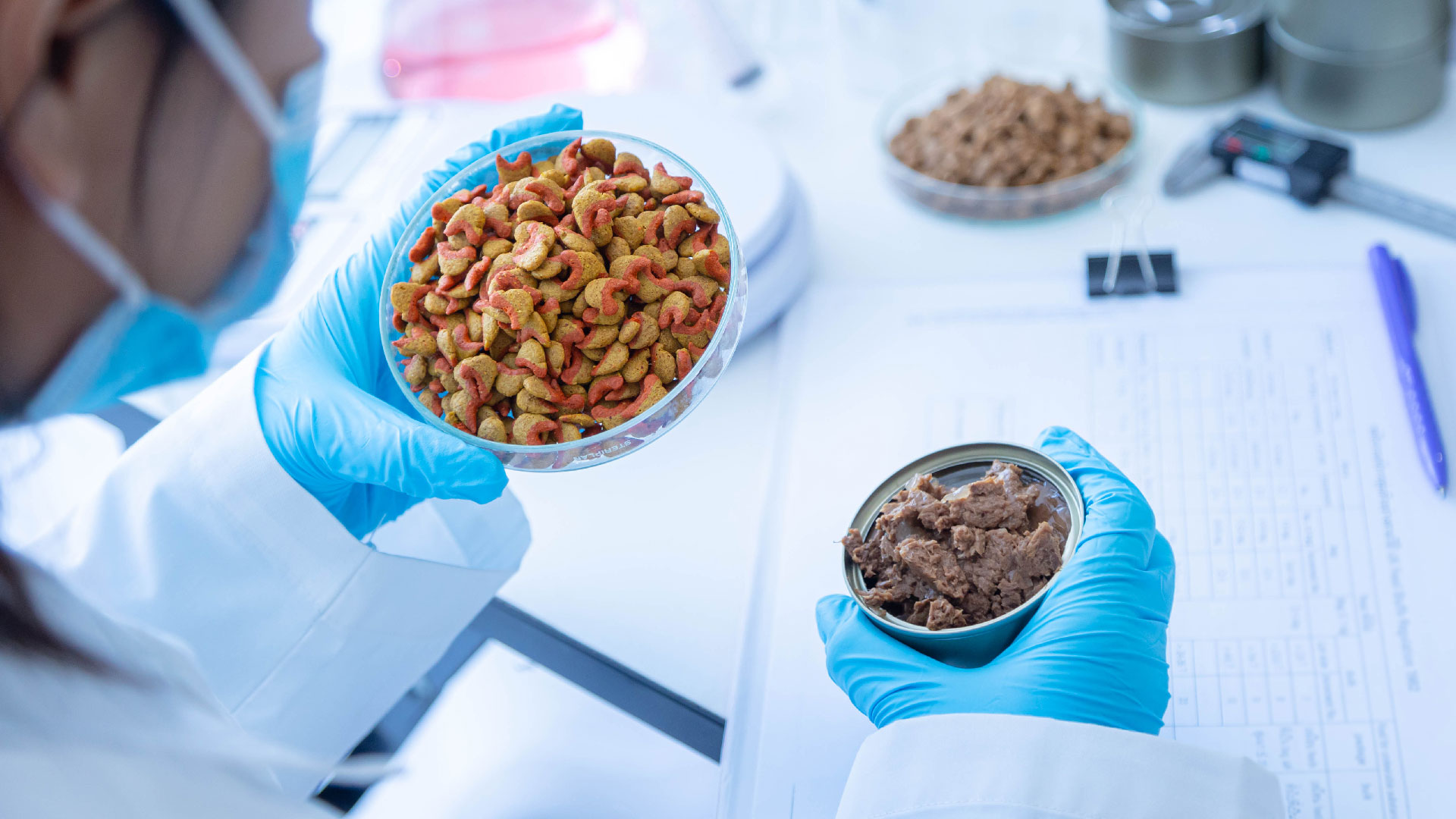 Laboratory technician with blue gloves analyzing dry and wet pet food in a lab, symbolizing the Lifeanalytics pet services