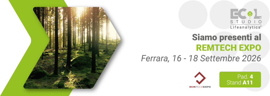 Immagine di una foresta di alberi con luce soffusa e ombre all'interno di una grafica a freccia di colore verde, simbolo della fiera Remt