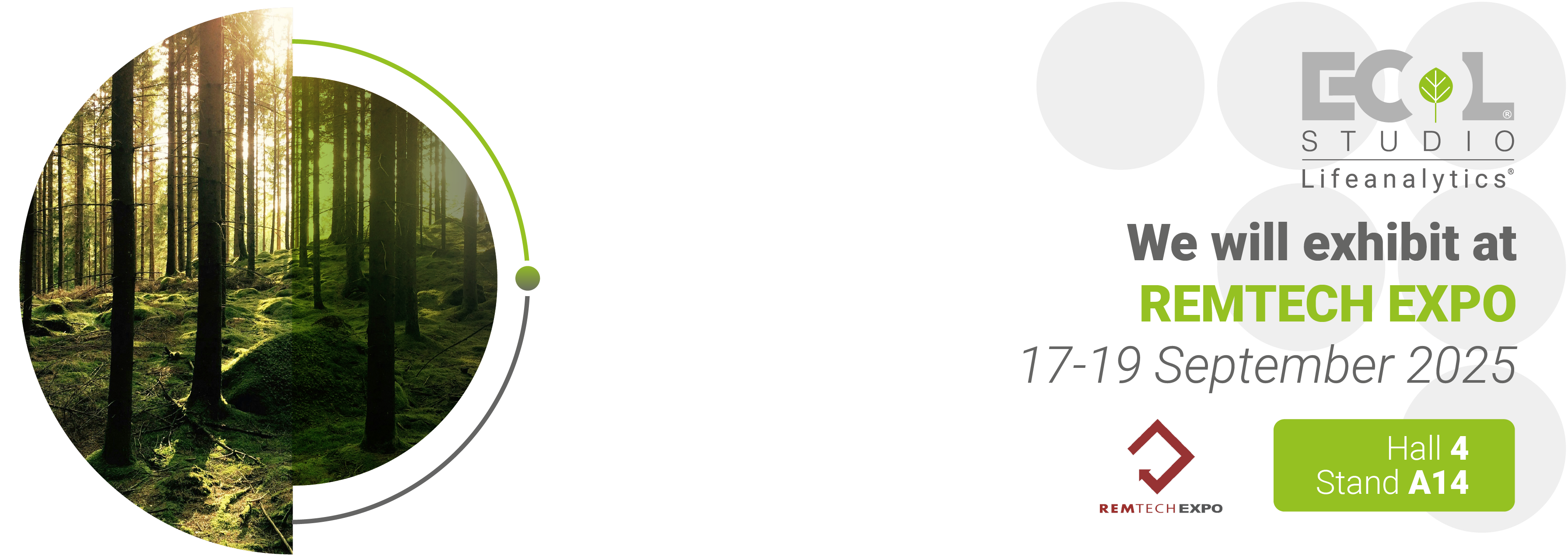 Image of a forest of trees with soft light and shadows, symbol of the Remtech fair where we will be pres