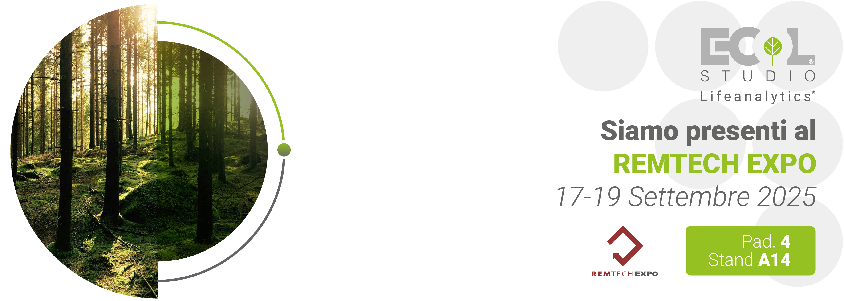Immagine di una foresta di alberi con luce soffusa e ombre, simbolo della fiera Remtech a cui saremo pres