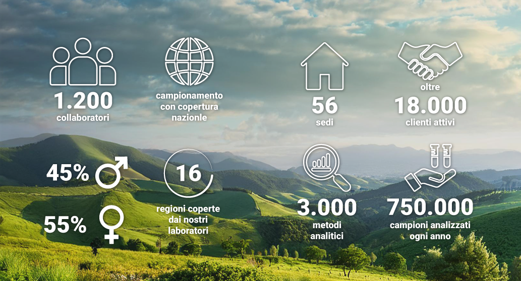 Immagine che rappresenta i numeri di massima di Lifeanalytics