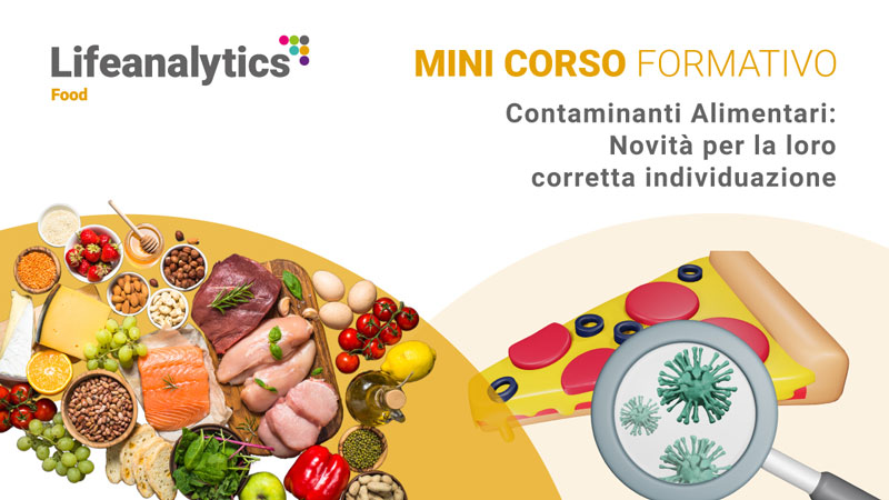 Pizza e altri alimenti che rappresentano il mini corso formativo Contaminanti Alimentari: Novità per la loro corretta individuazione