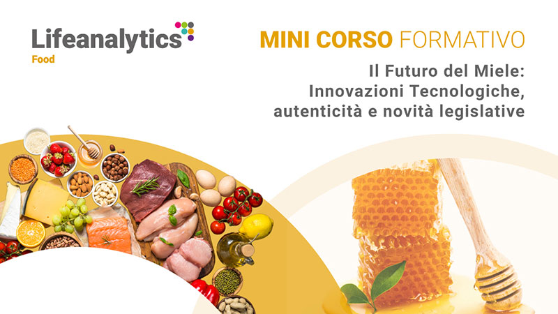 Miele e altri alimenti che rappresentano il mini corso formativo Il futuro del miele: innovazioni tecnologiche, autenticità e novità legislative