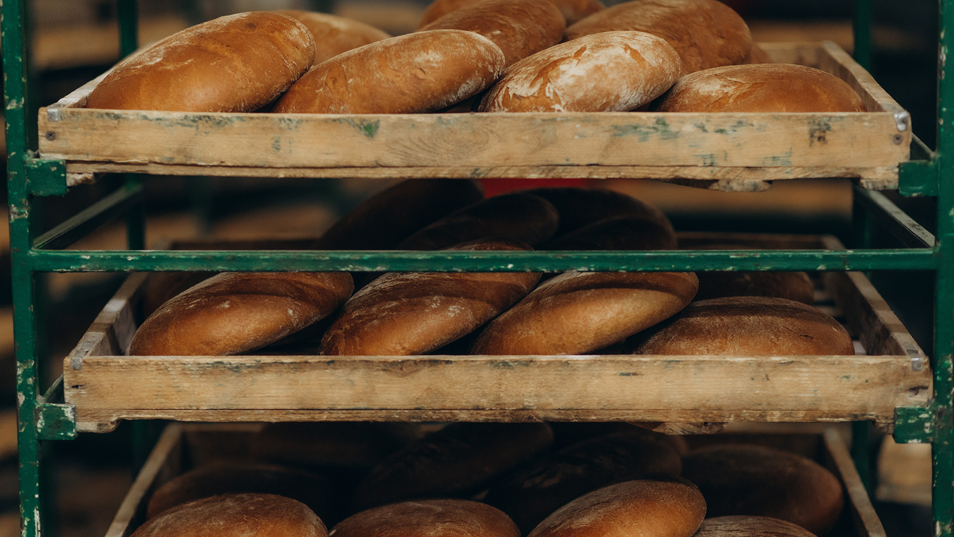 Freshly baked loaves of bread arranged on wooden racks inside an artisan bakery, symbolizing Lifeanalytics' pasta and bakery products service