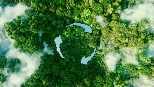 Immagine metaforica che rappresenta il bilancio di sostenibilità: una foresta ripresa dall’alto con 3 frecce concentriche 