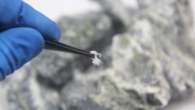 Tecnico di laboratorio intento a prelevare un campione di amianto con una pinzetta e i guanti