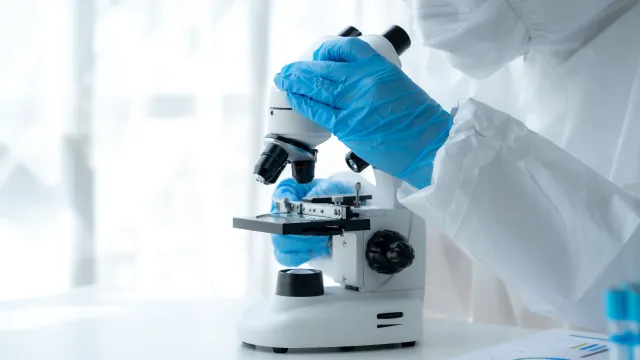 Tecnico di laboratorio intenta a usare il microscopio per verificare le sue analisi microbiologiche