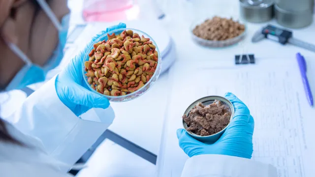 Tecnico di laboratorio intento ad esaminare delle provette contenenti diverse tipologie di alimenti per animali da compagnia, tra cui crocchette e cibo in scatola