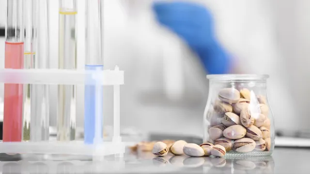 Campione pieno di pistacchi su bancone di laboratorio pronto per effettuare le analisi chimiche e microbiologiche dedicate e frutta a guscio e frutta secca