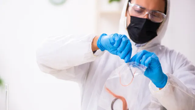 Tecnico di laboratorio intento a effettuare un prelievo di una ciocca di capelli per testare alcuni prodotti haircare