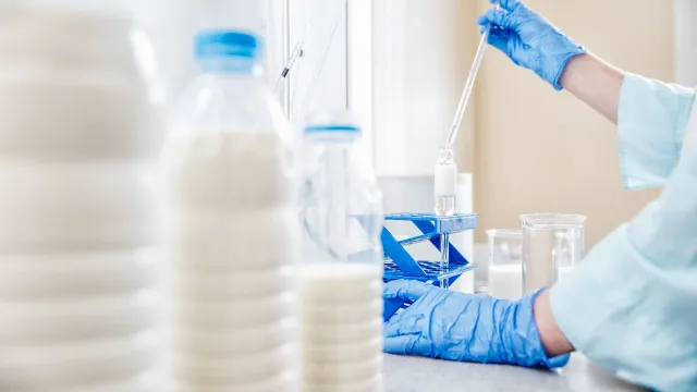 operatore intento a prelevare con la pipetta il latte ed eventuali derivati per poter effettuare le analisi di laboratorio dedicate 